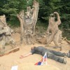 Igor Loskutow  Kunst mit Kettensäge, Schnitzerei, Skulptur: IMG_9542